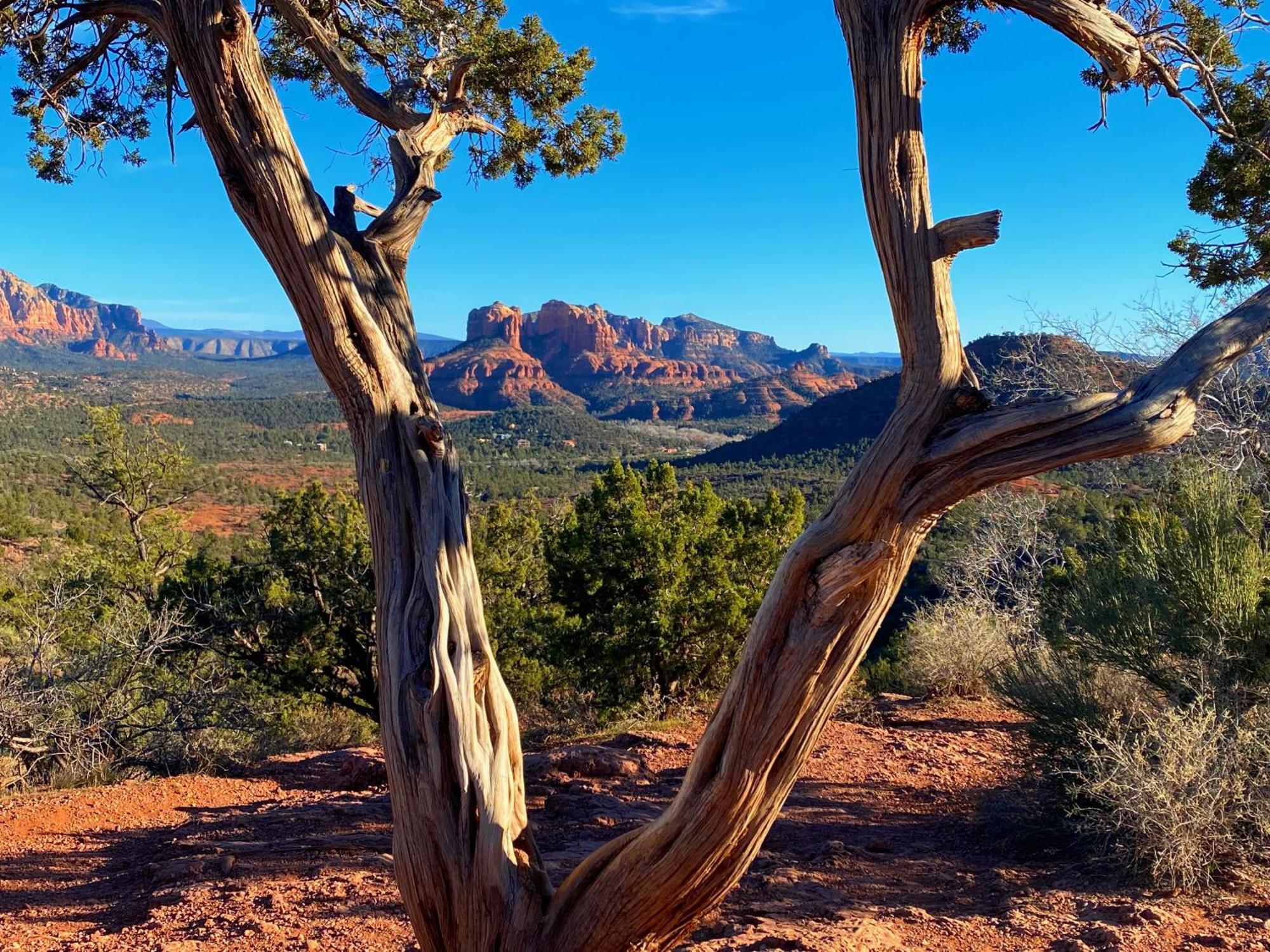 Sedona'S Paradise Found, Saltwater Pool And Hot Tub, Private Oasis! Екстериор снимка
